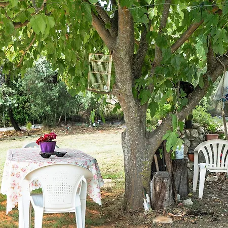 Efrosyni * Markopoulo (Kefalonia)